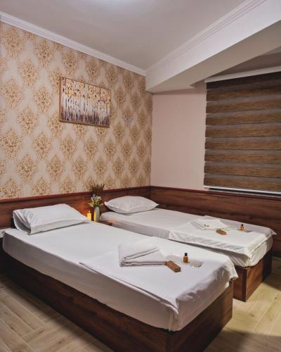 ibis Hotel Prizren in พริซเซ่น