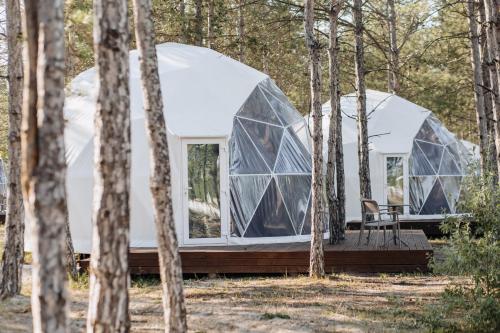 Apkārtne, Moncastro Glamping in Vylkove
