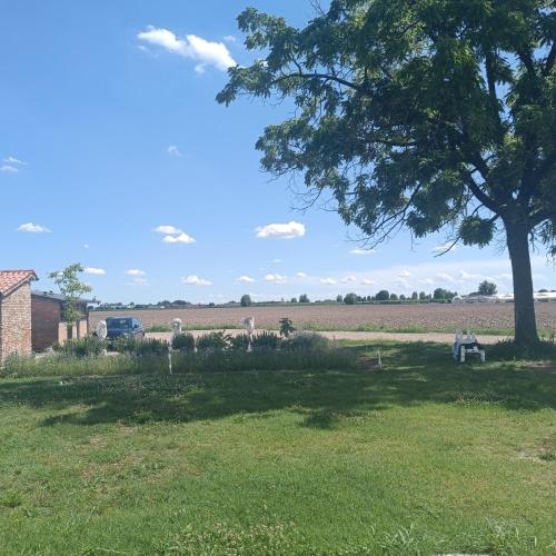 Ecofriendly house Colli Euganei