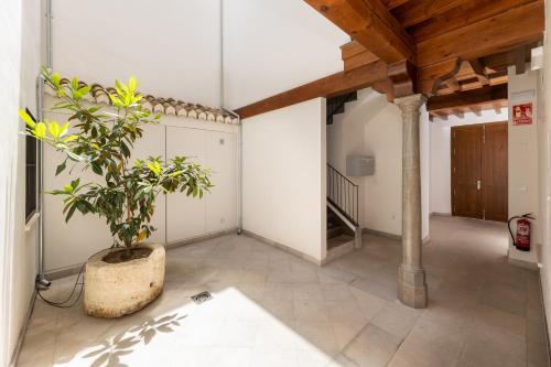 Terraza privada en ático en el centro de Granada, Granada (fotografie 9)