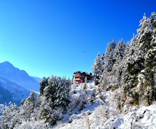 Laida Holiday Homestay in Palach