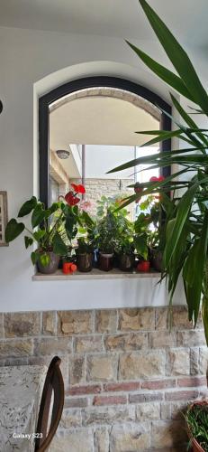 Guest House Saint Petka