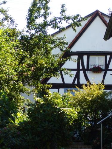 Ferienhaus 1534 in Neustadt an der Weinstraße, Deutschland