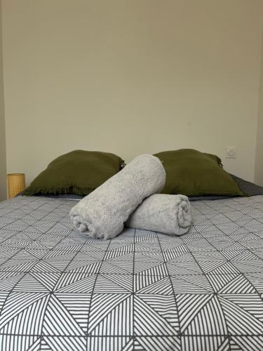Le Toulousain 101 - Appartement Calme en Hypercentre - Quartier Jeanne d'Arc, Tuluza (zdjęcie 9)