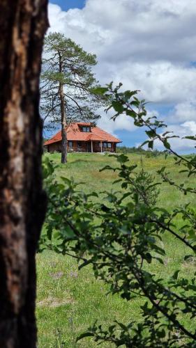 Two-Bedroom House room in Skroviste Zlatibor-Vodice
