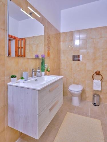 Baño, GP34 Affittacamere in Olbia
