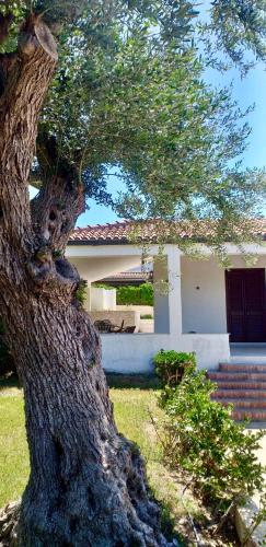 Villa Chicca