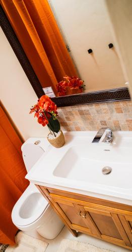 BalaCasa - The Escape - your tropical garden retreat - image 2