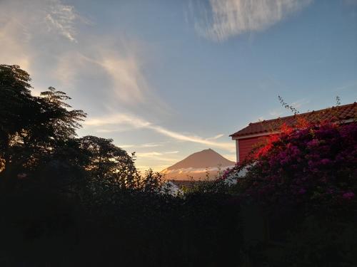 Small Room - FLAMINGA'S PLACE in ลาเชส โด ปิโก