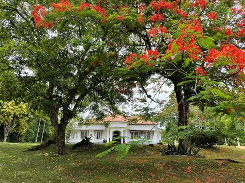 Chandana1941 – khách sạn tại Ambalangoda