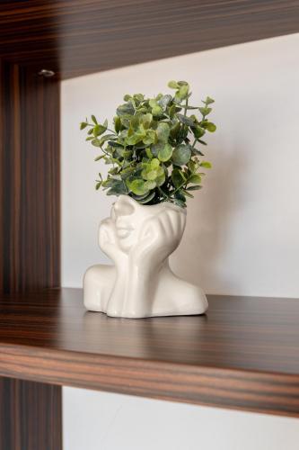 SkyPenthouse & SPA with FREE Parking