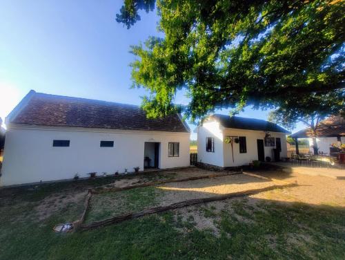 Kod stare vodenice in Petrovac Na Mlavi