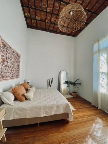 Casa Alma