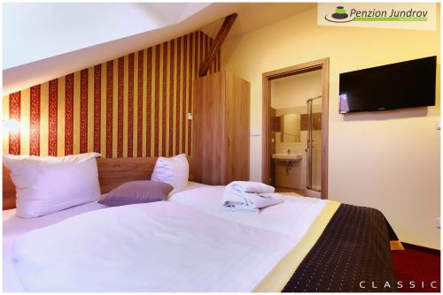 Double or twin room