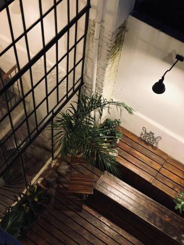 Casa Alma, Buenos Aires (fotografie 9)