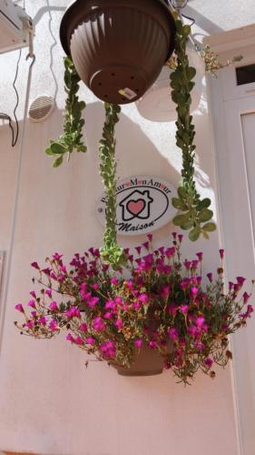 PalinuroMonAmour Casa Vacanze Room Type - Apartment with Sea View