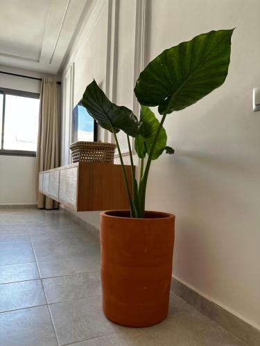 Studio minimaliste marbella beach in El Mansouria