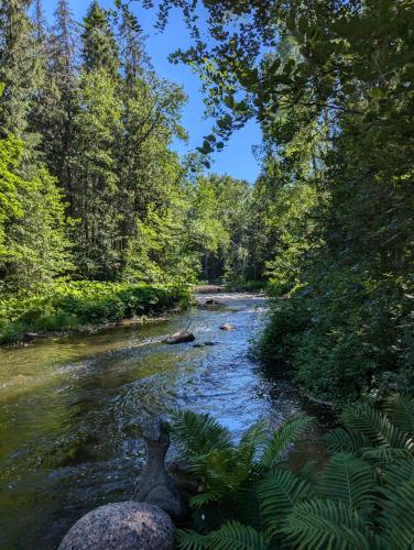 Surrounding environment, Charming Garden House by the River in Kotka
