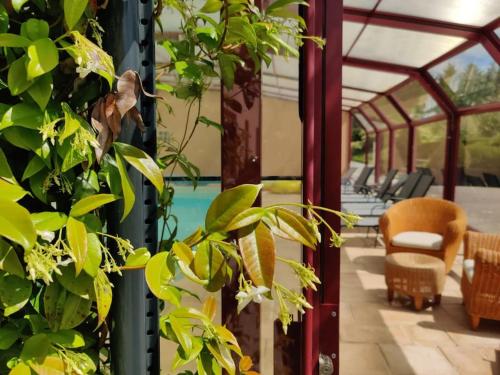 Maison avec Piscine, Jacuzzi et grand Jardin à 1h de Paris (Maison avec Piscine, Jacuzzi et grand Jardin a 1h de Paris) in Esternay