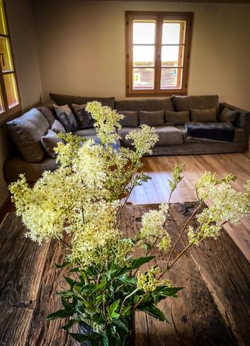 Chalet Hubertussee in Mariazell, Österreich
