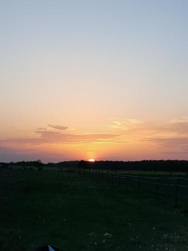 景觀, Luxuszelt in der Pferdeherde in 布賴丁