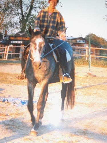 騎馬, Luxuszelt in der Pferdeherde in 布賴丁