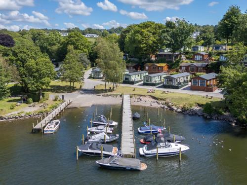 Serendipity Serendipity