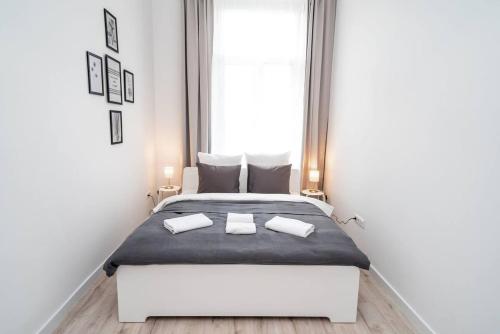 Extra central brand new and large AC apartment, Budapest