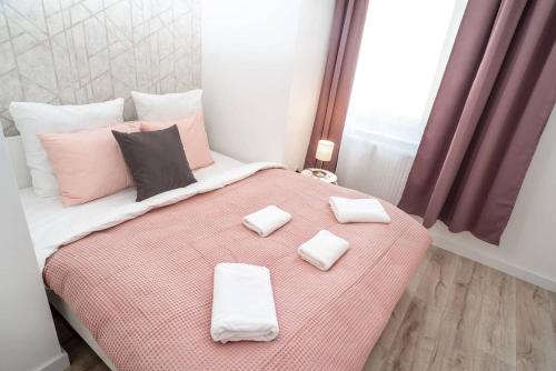 Extra central brand new and large AC apartment - image 3
