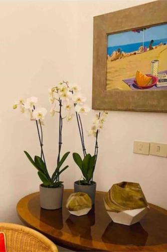 Apartamento loft ingresso independente central zona san lorenzo