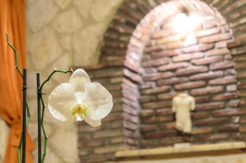 Parys Villas - Photo 1