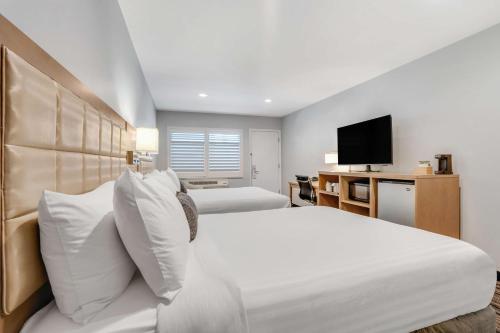 Sather Berkeley - SureStay Collection by Best Western, Berkeley (foto 5)