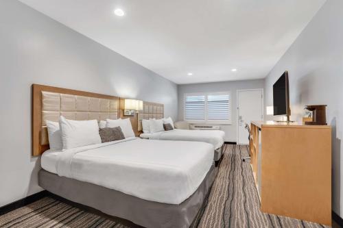 Sather Berkeley - SureStay Collection by Best Western, Berkeley (foto 9)