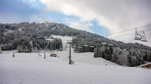 Am Brummelbach by NV-Appartements - Westendorf