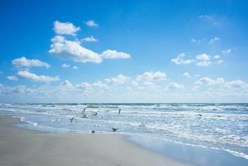 Kings Cove 5 Min to Beach, BBQ, King Bed in Corpus Christi, USA