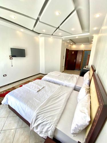 Anubis Pyramids View - image 4