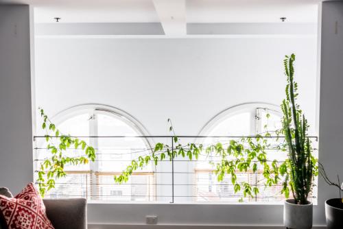 Light-Filled Converted Warehouse 2 Bedroom Apartment in Prahran in 普蘭