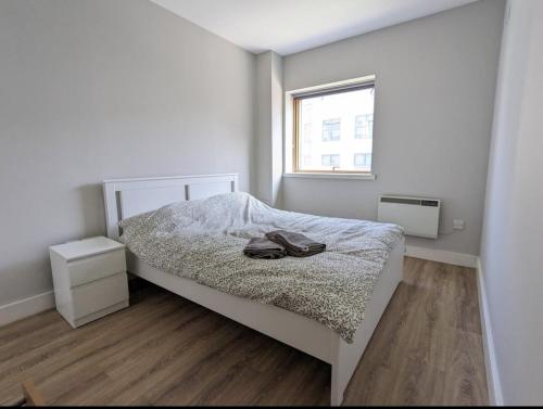 Bright 2BD Flat with Private Balcony - Dublin, Dublín (foto 7)