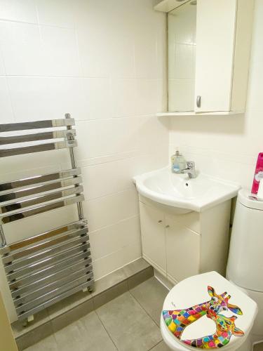 Roomy 3BD by Hampstead Heath! - image 43