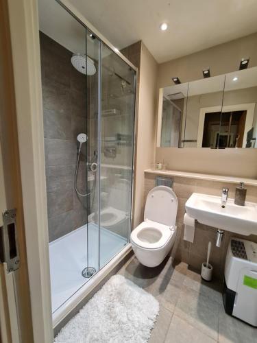 Stylish and Modern 1 Bedroom Apartment in Farringdon - image 6