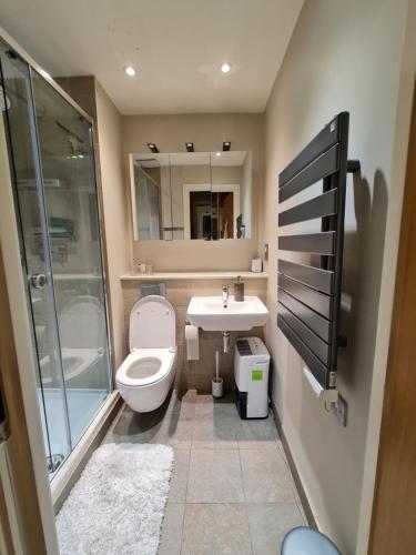 Stylish and Modern 1 Bedroom Apartment in Farringdon - image 5