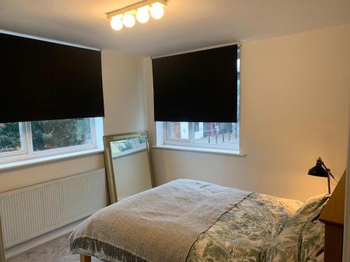 Lovely 2 Bedroom Flat near Whitechapel Station, Londýn (fotografie 4)