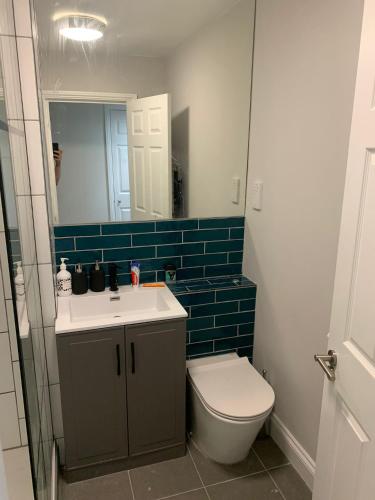 Lovely 2 Bedroom Flat near Whitechapel Station, Londýn (fotografie 8)