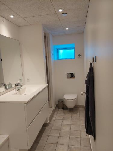 Bathroom, Hyggelig lejlighed i baggard in Haderslev City Center