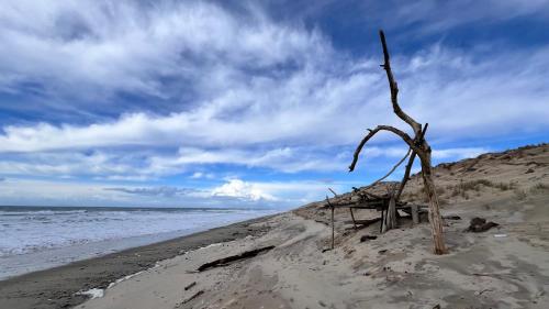 Duplex carcans plage in Carcans