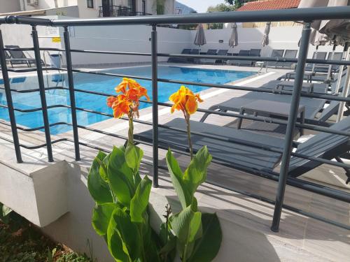 Celeste Hotel Celeste Hotel