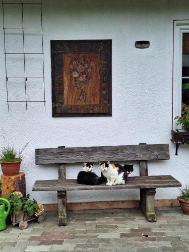Boabauer, Tamsweg (foto 7)