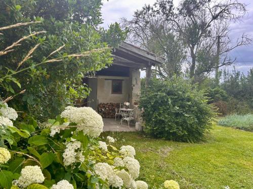 Pedauge chambre d'hôte Mézin