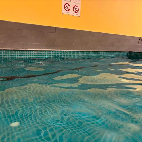 Cozy 1 Bedroom Apt Parkside Pool Gym Parking close CBD in Parkville