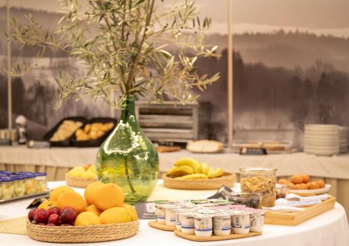 Hotel Oasis - image 12